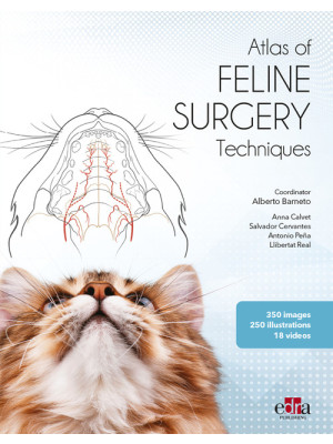 Atlas of feline surgery tec...