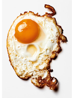 The gourmand's egg. A colle...