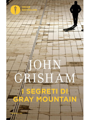 I segreti di Gray Mountain