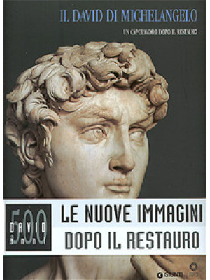 Il David di Michelangelo. U...