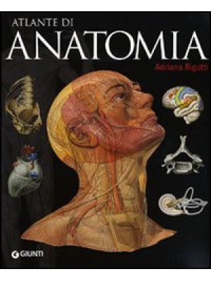 Atlante di anatomia