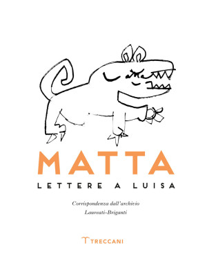 Matta. Lettere a Luisa