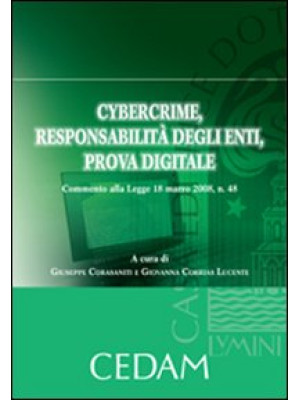 Cybercrime, responsabilità ...