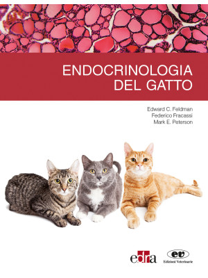 Endrocrinologia del gatto