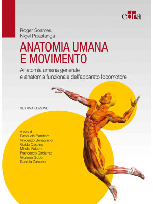 Anatomia umana e movimento....