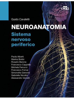 Neuroanatomia. Sistema nerv...