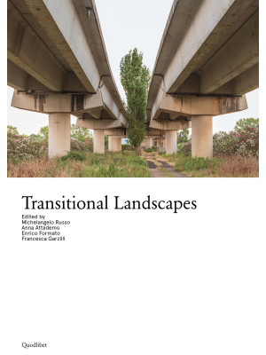 Transitional landscapes