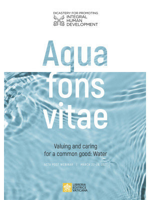 Aqua fons vita. Valuing and...