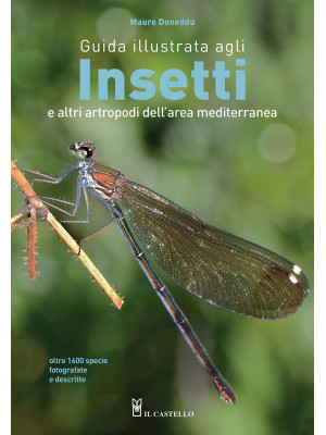 Guida illustrata agli insetti e altri artropodi dell'area mediterranea. Ediz. illustrata