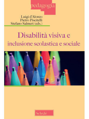 Disabilità visiva e inclusi...