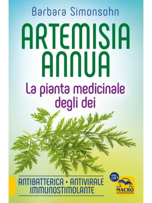 Artemisia annua. La pianta ...