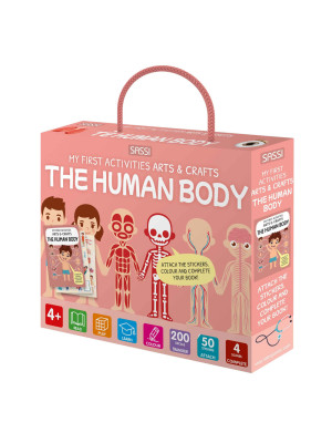 Human body. My first activi...