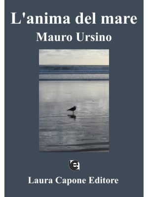 L'anima del mare. Mauro Ursino