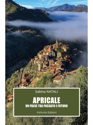 Apricale. Un paese tra pass...