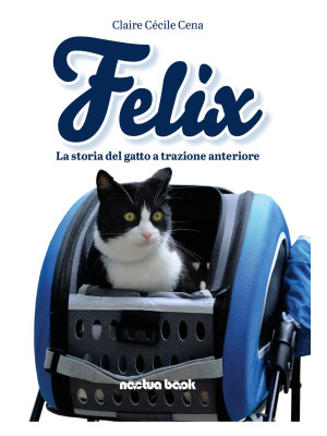 Felix la storia del gatto a...