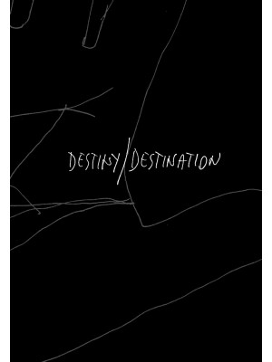 Destiny-Destination. Ediz. ...