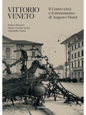 Vittorio Veneto. Il Centro ...