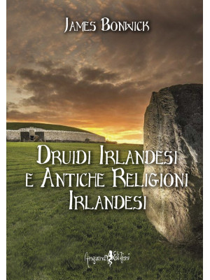 Druidi irlandesi e antiche ...