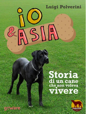 Io & Asia. Storia di un can...