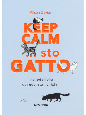 Keep calm... Sto gatto. Lez...