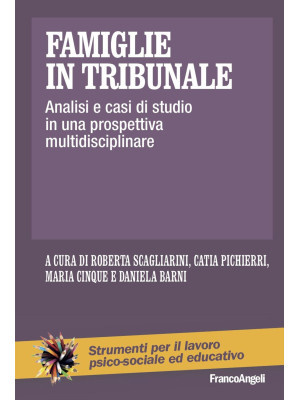 Famiglie in tribunale. Anal...