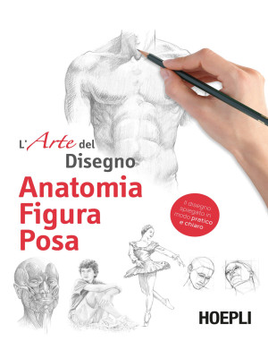 Anatomia figura posa