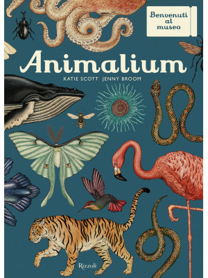 Animalium. Il grande museo ...