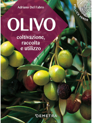 L'olivo. Coltivazione, racc...