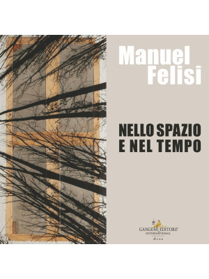 Manuel Felisi. Nello spazio...