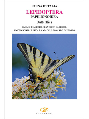 Lepidoptera Papilionoidea b...
