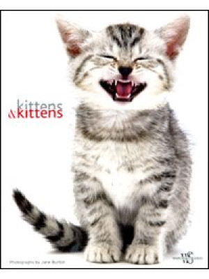 Kittens & kittens. Ediz. il...
