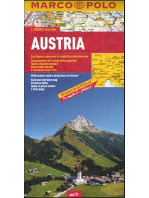 Austria 1:300.000. Ediz. mu...