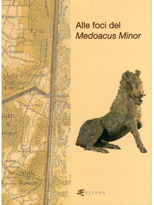 Alle foci del Medoacus minor