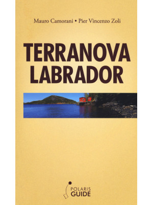 Terranova Labrador