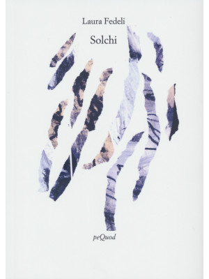 Solchi
