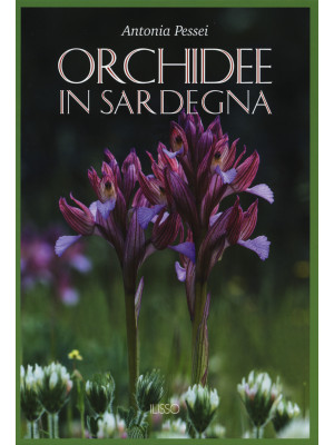 Orchidee in Sardegna. Ediz. illustrata