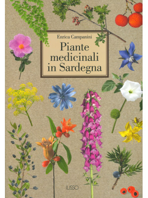 Piante medicinali in Sardegna. Ediz. illustrata