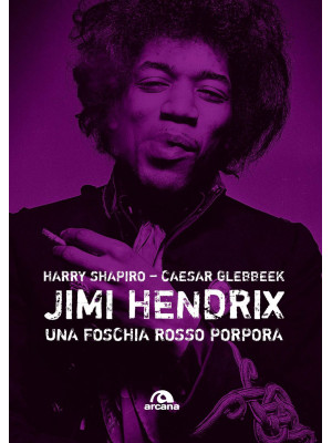 Jimi Hendrix. Una foschia r...