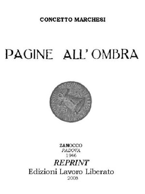 Pagine all'ombra