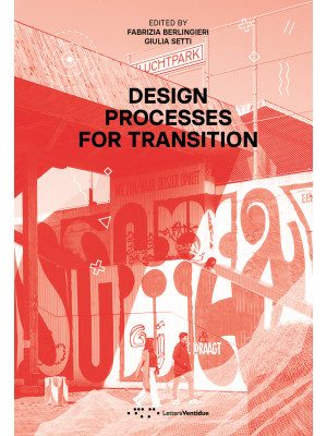 Design processes for transi...
