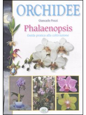Orchidee phalaenopsis. Guid...