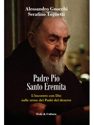 Padre Pio santo eremita. L'...