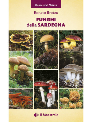 Funghi della Sardegna. Ediz...