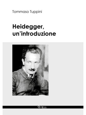 Heidegger, un'introduzione