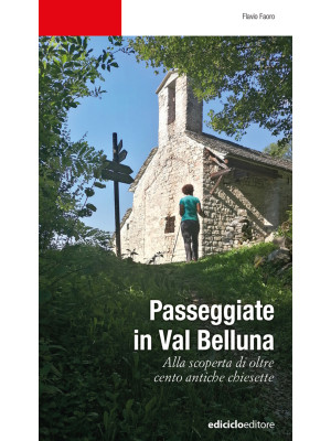 Passeggiate in Val Belluna....