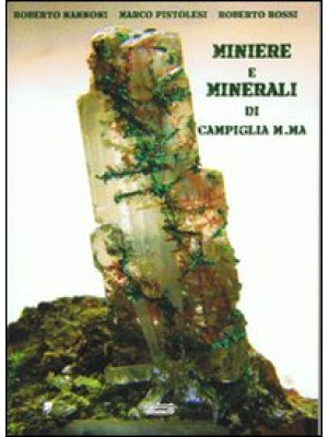 Miniere e minerali di Campi...