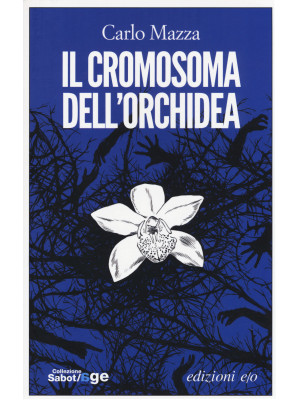 Il cromosoma dell'orchidea