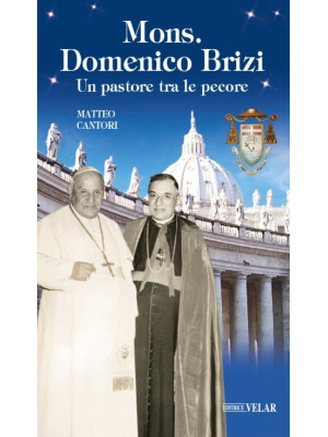 Mons. Domenico Brizi. Un pa...