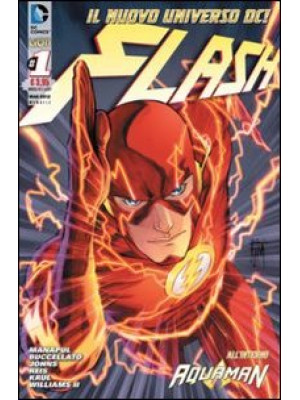 Flash. Vol. 1