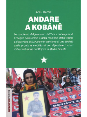 Andare a Kobane